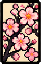 樱花素札