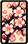 樱花素札（二）