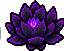 黑莲花
