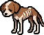 野狗