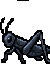 蝗虫（死）