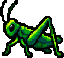 蝗虫（病）