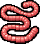 长蚯蚓